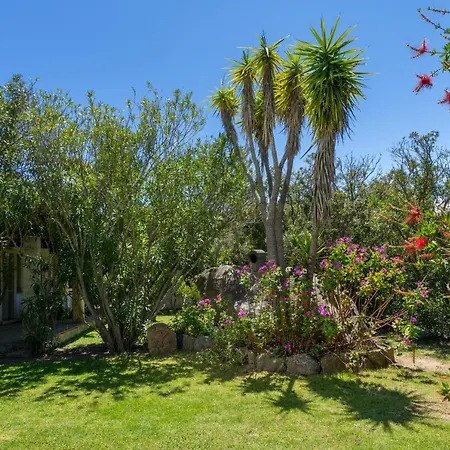 Holiday home Casa Monorosa Porto Rotondo